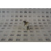 Allen-Bradley 1762-IF2OF2 SER B 2 CHAN IN / 2 CHAN OUT ANALOG MODULE
