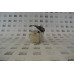 Allen-Bradley 1756-BATM ControlLogix PLC BATTERY MODULES