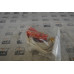 ALLEN  BRADLEY 440N-G02032 Contact Switch