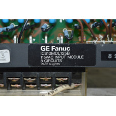 GE Fanuc IC610MDL125B Input Module
