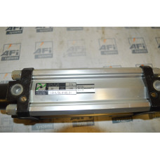 PNEUMAX 1319-50-0100-01 Pneumatic cylinder