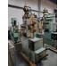 Hesta B 50 (21) hesta